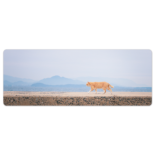 カウンター マット 藍島（あいのしま）の猫　CAT-1