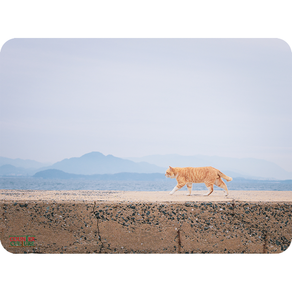 ダイナー マット 藍島（あいのしま）の猫　CAT-1