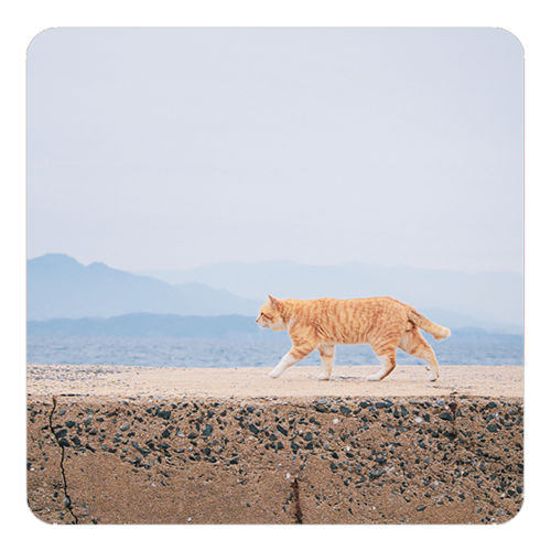 SAKEマット 藍島（あいのしま）の猫 CAT-1