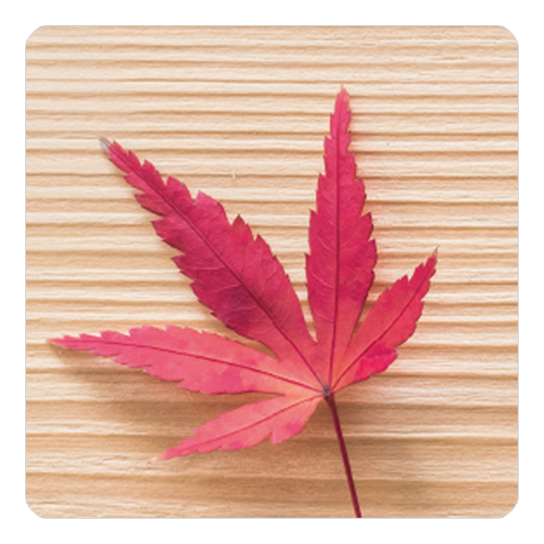 SAKEマット 紅葉