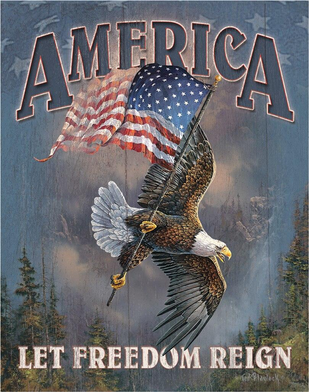 ティン サイン America - Let Freedom Reign