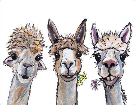 ティン サイン Alpaca Trio