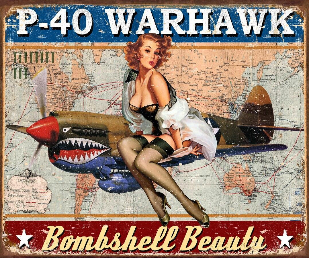 ティン サイン Warhawk