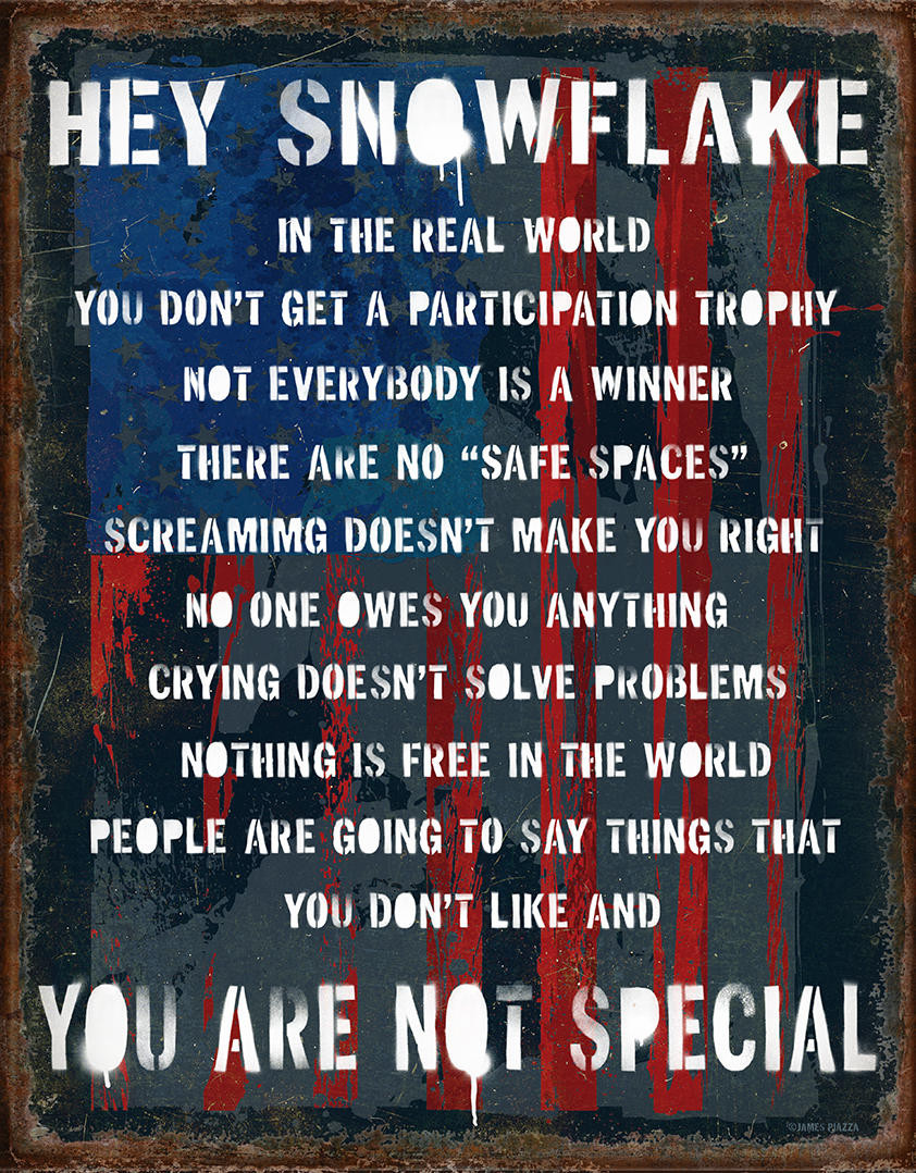 ティン サイン Snowflake