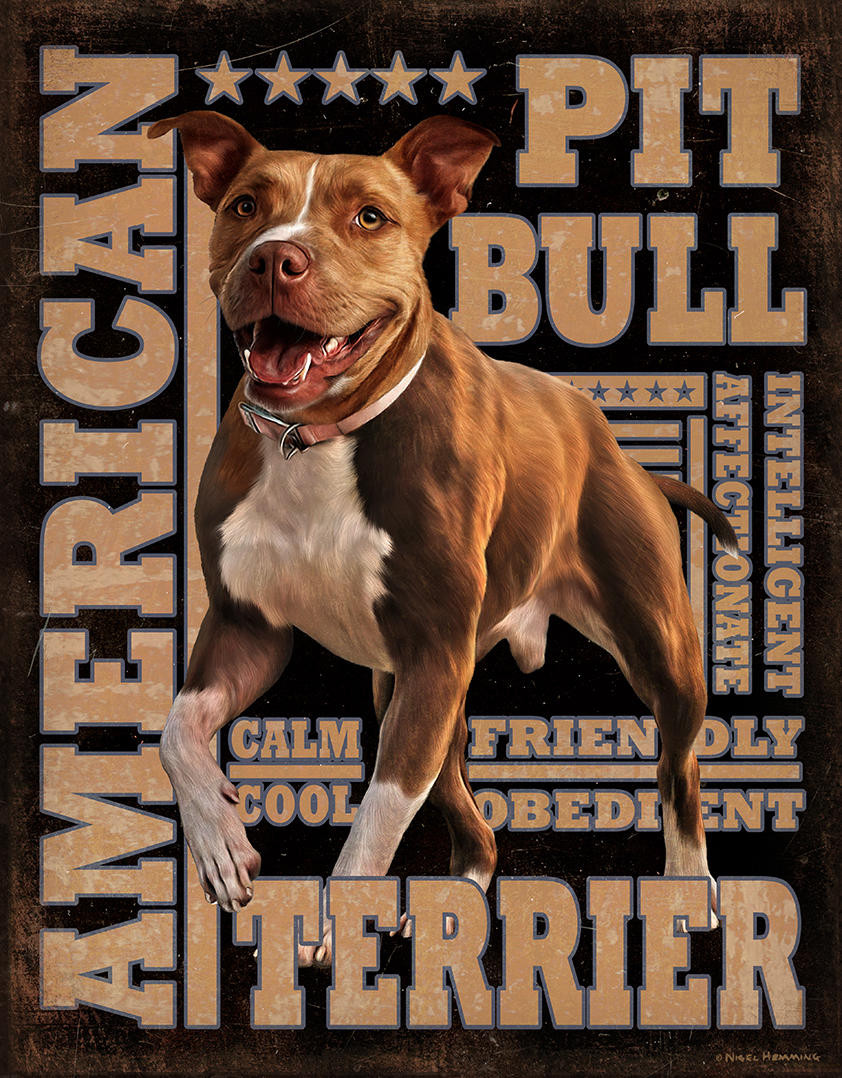 ティン サイン American Pit Bull