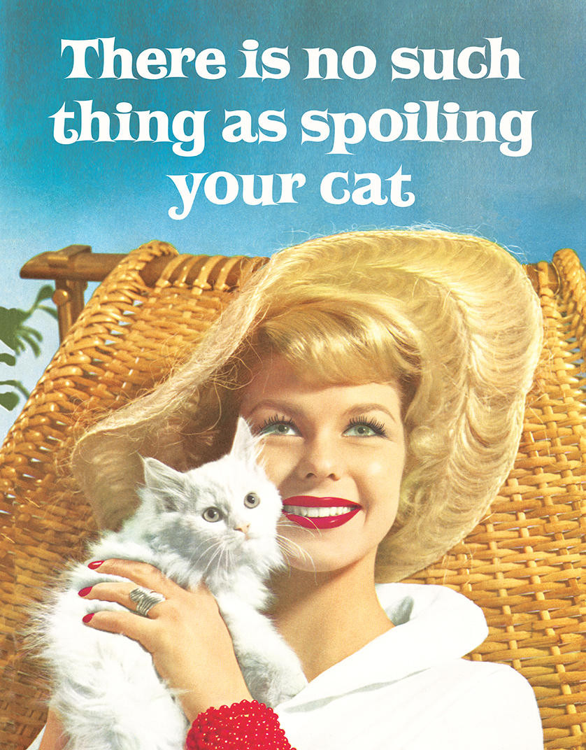 ティン サイン Spoiling Cat