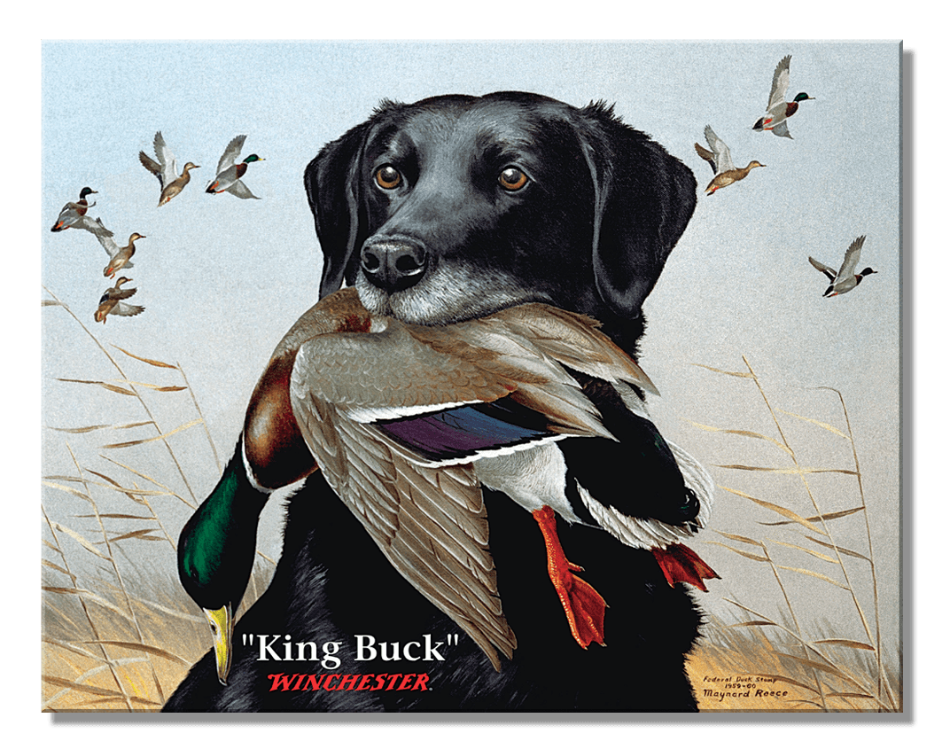 ティン サイン Winchester King Buck