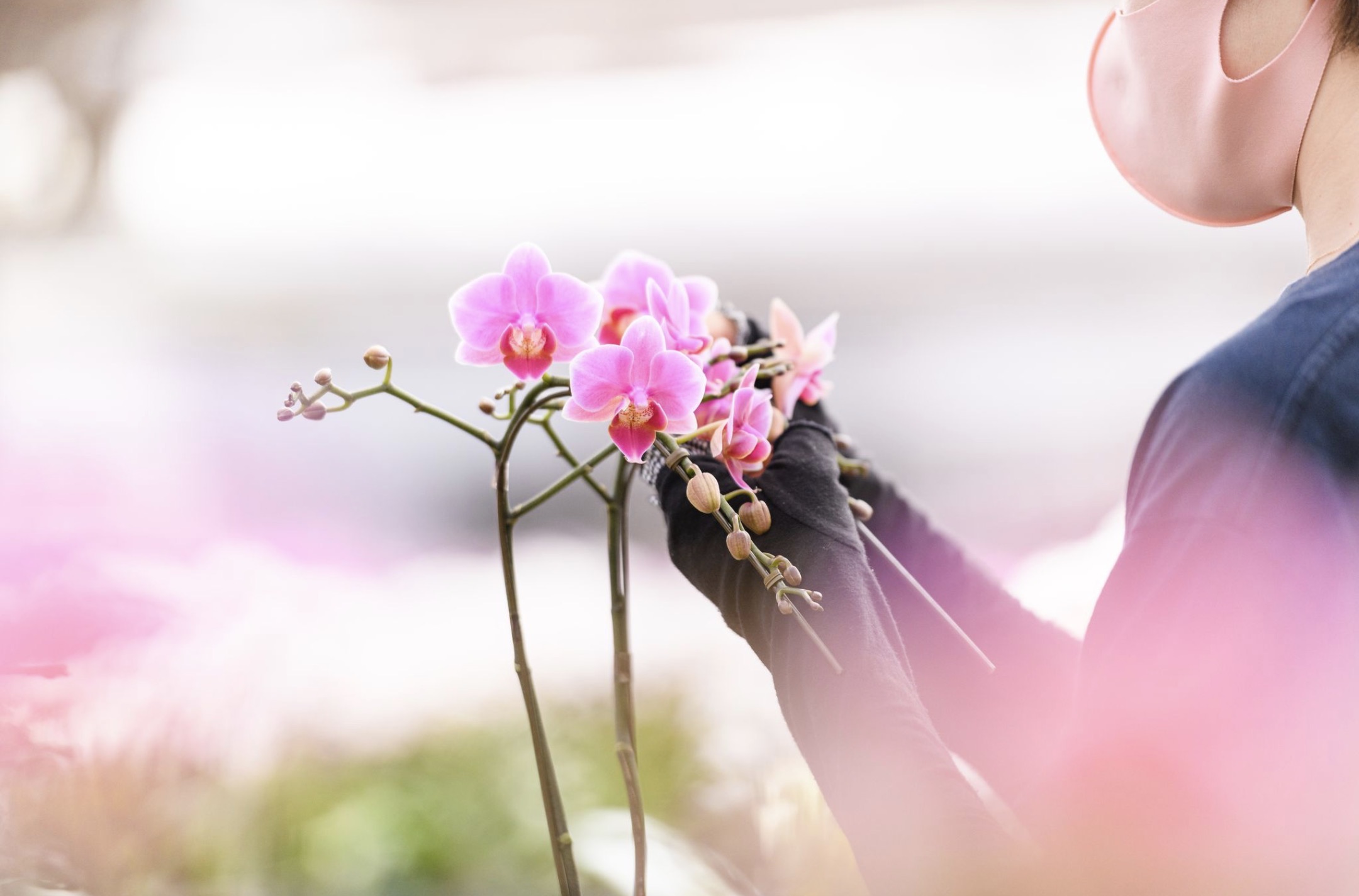 植物原料や産地を感じる写真