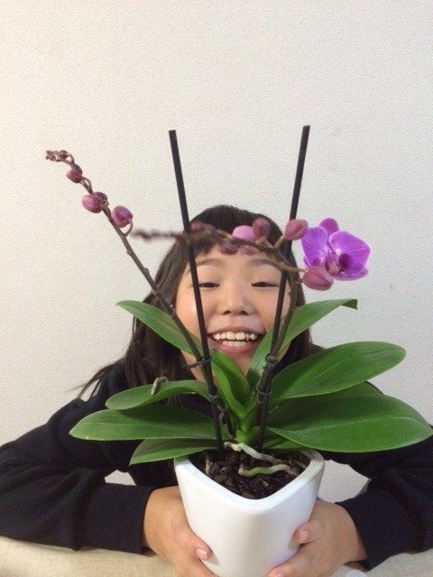 花育活動画像2
