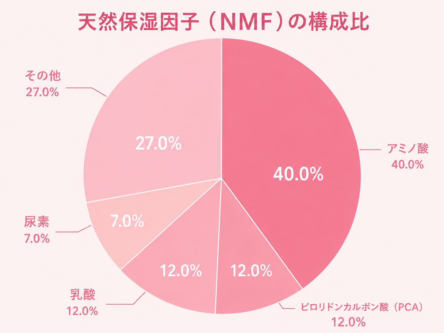 天然保湿因子（NMF）を構成する主な成分