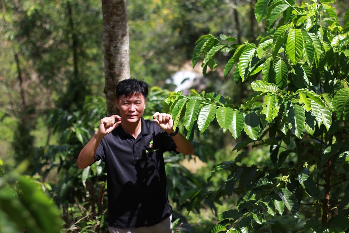 Future Coffee Farm Toi（トイ）さんの豆