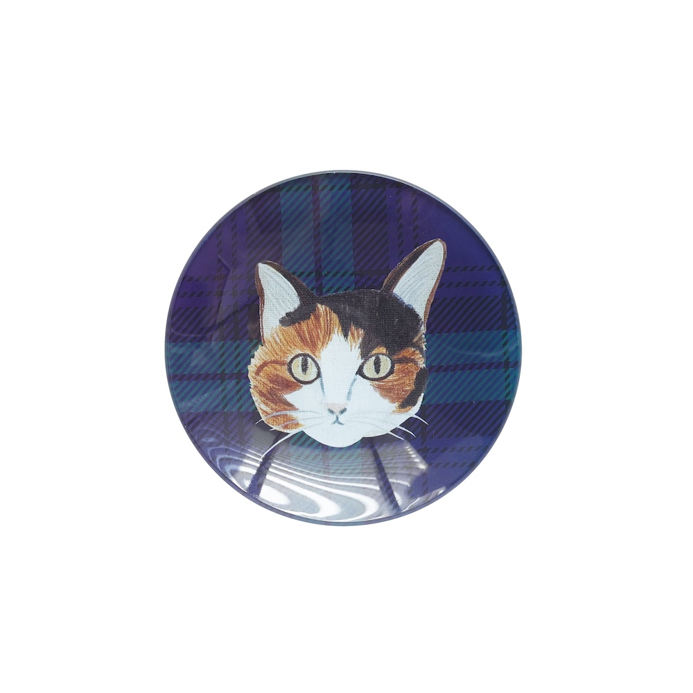Matsuo Miyuki Glass plate 12 Tabby