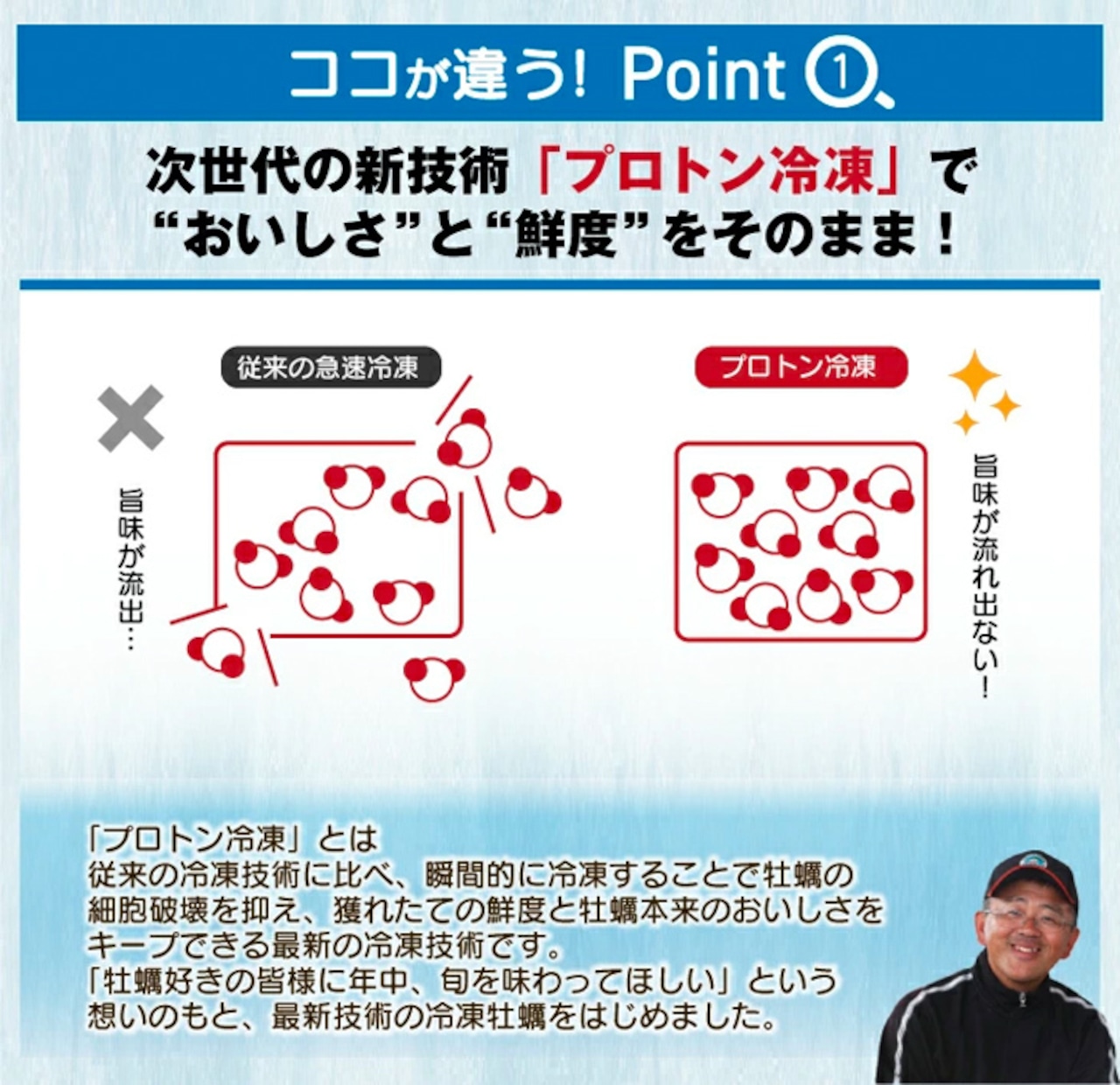 マルモ水産のプロトン冷凍