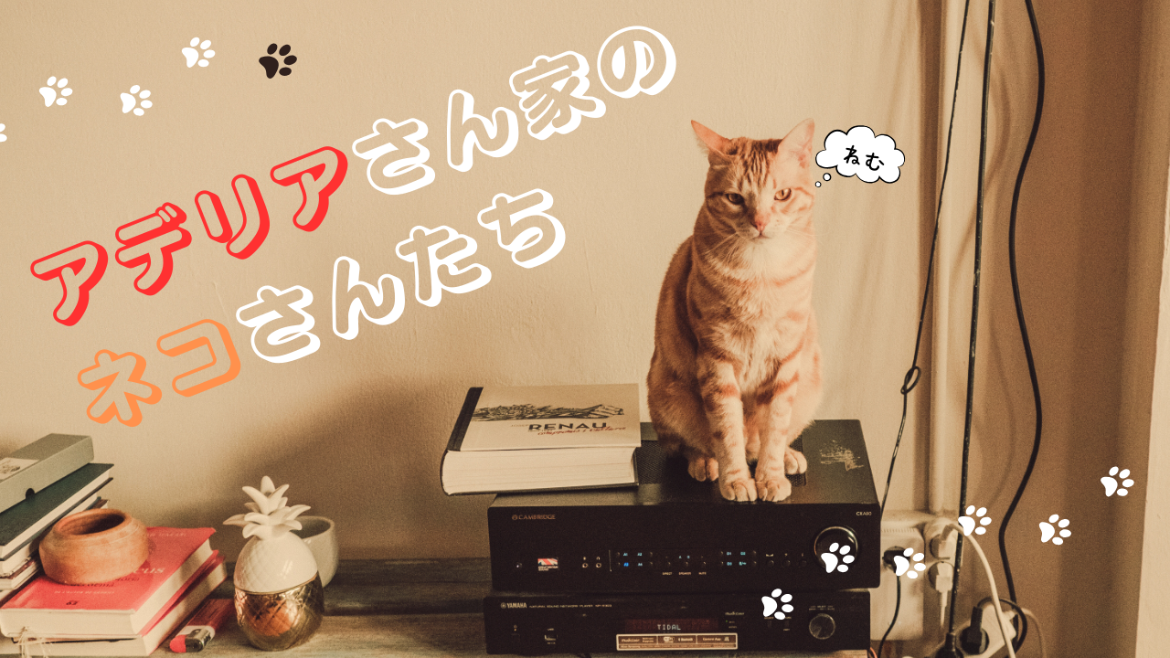 アデリアさん家のネコさんたち