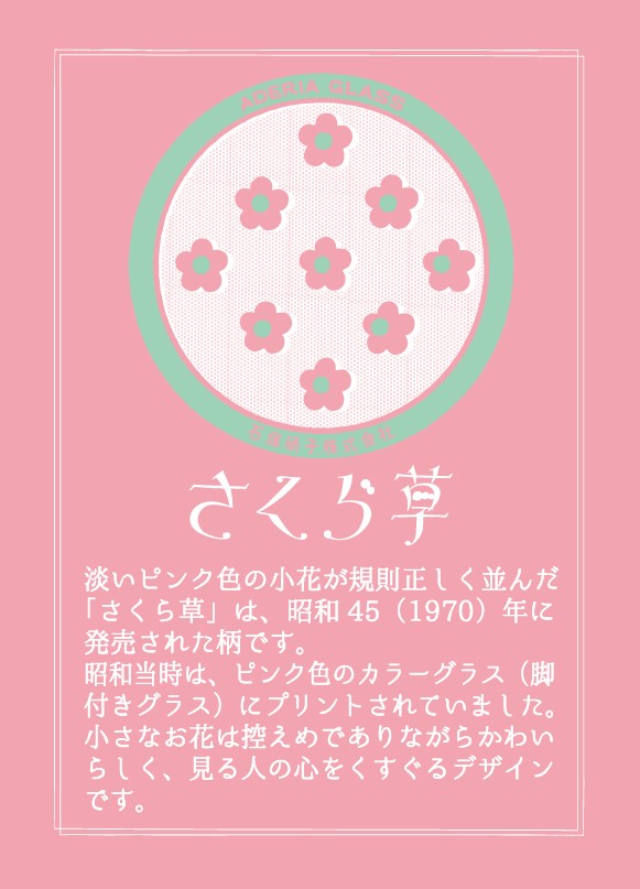 さくら草