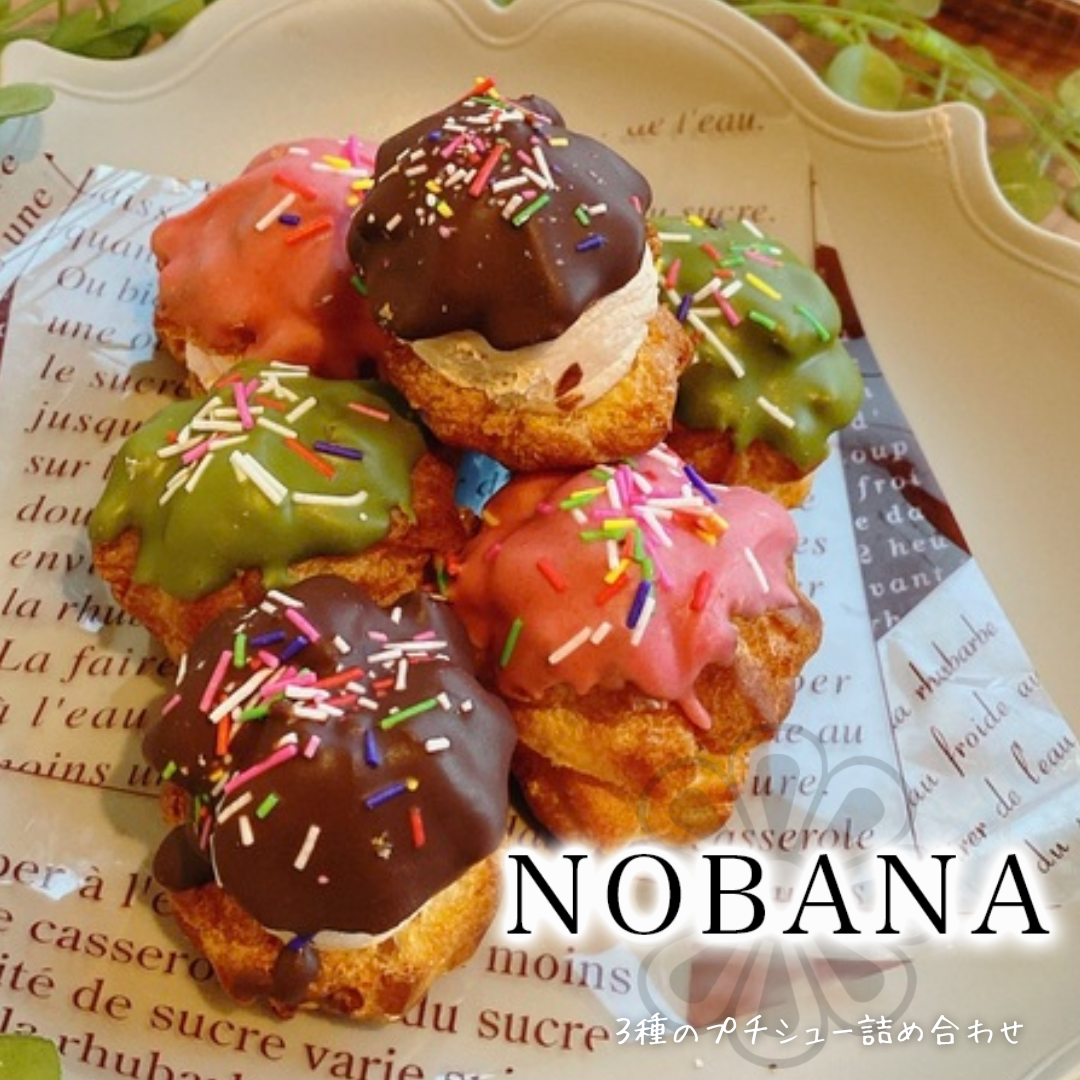 ３種のプチシュー詰合せ　NOBANA