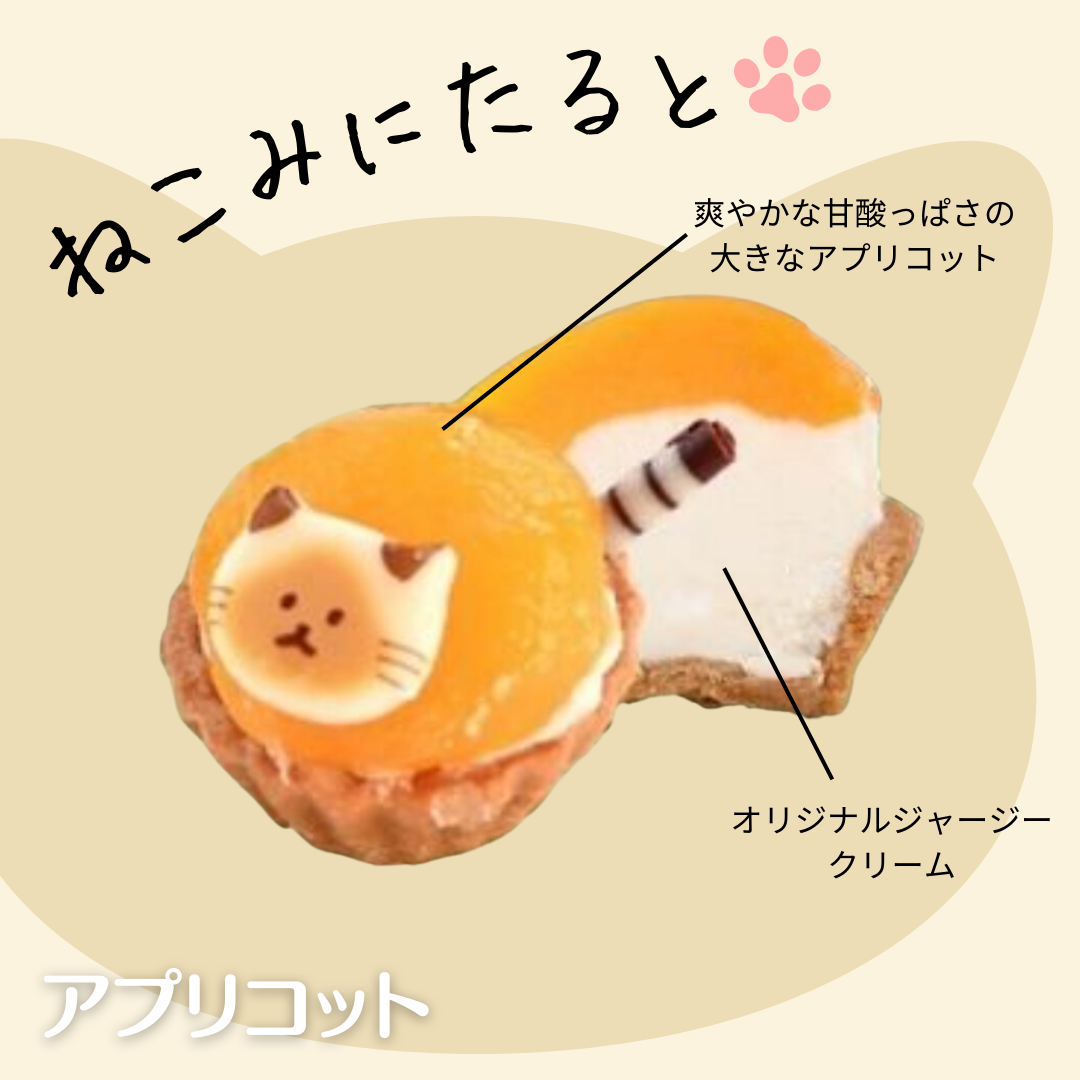 【販売再開】ねこみにタルト アプリコット(ねこ:シャム)【無人販売不可／有人店もしくは冷凍自販機用】