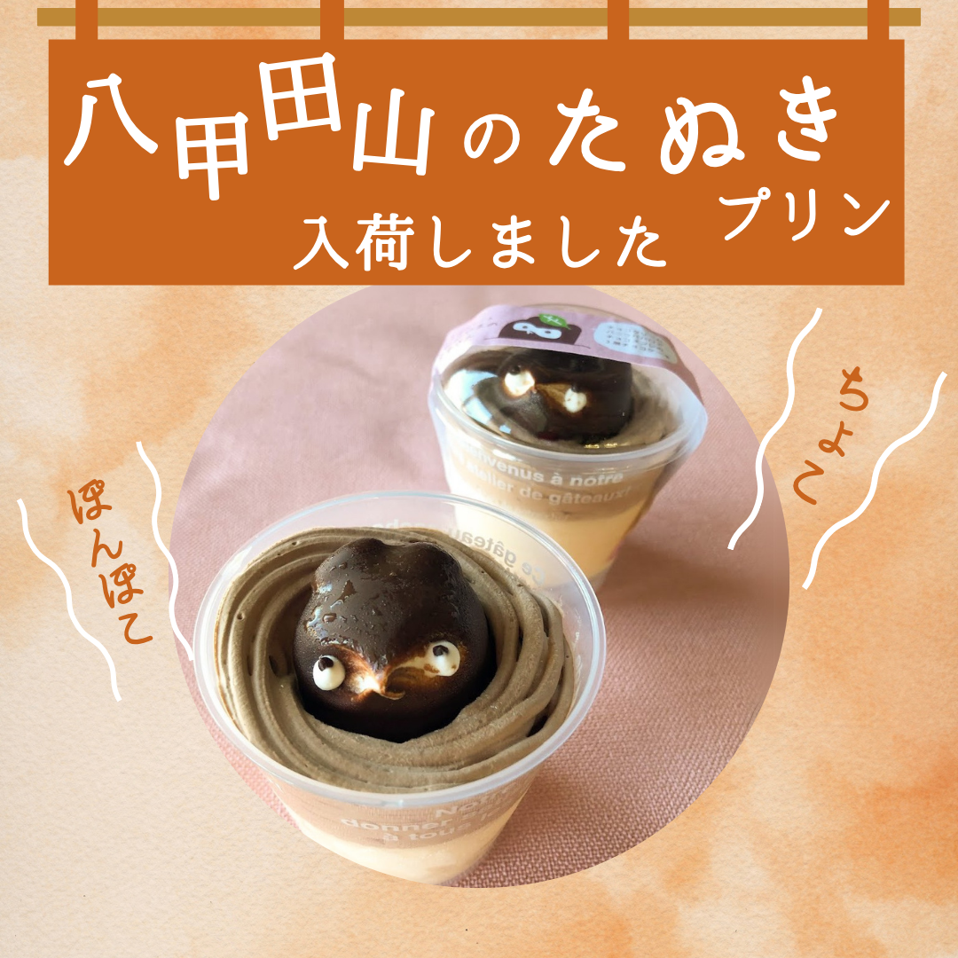 【送料無料】八甲田山のたぬきさん【チョコ】