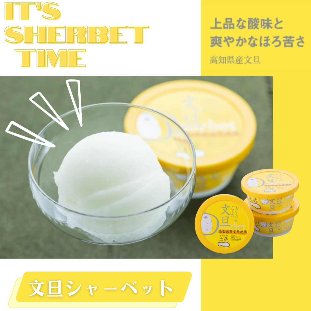 【送料無料】文旦シャーベット