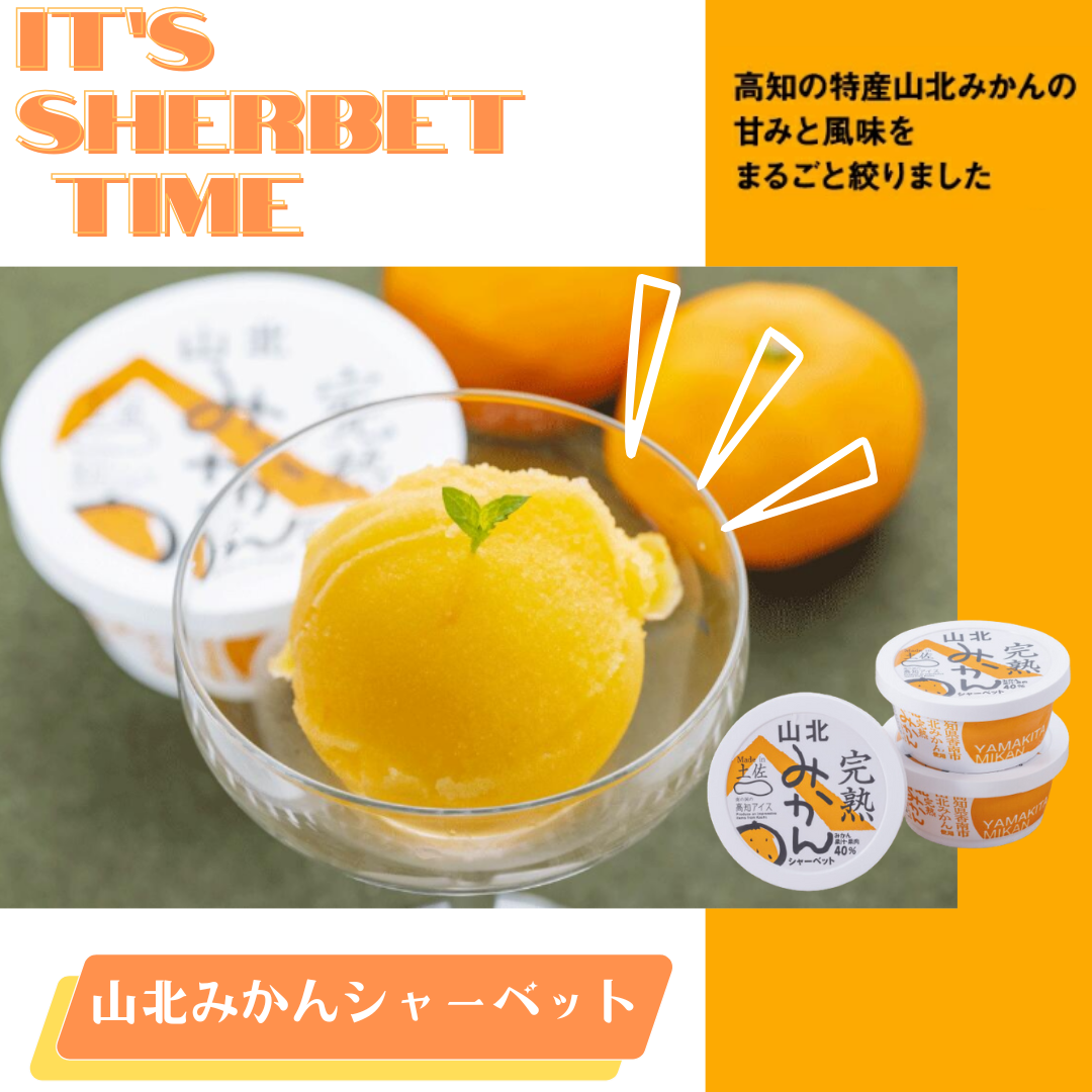 【送料無料】山北みかんシャーベット