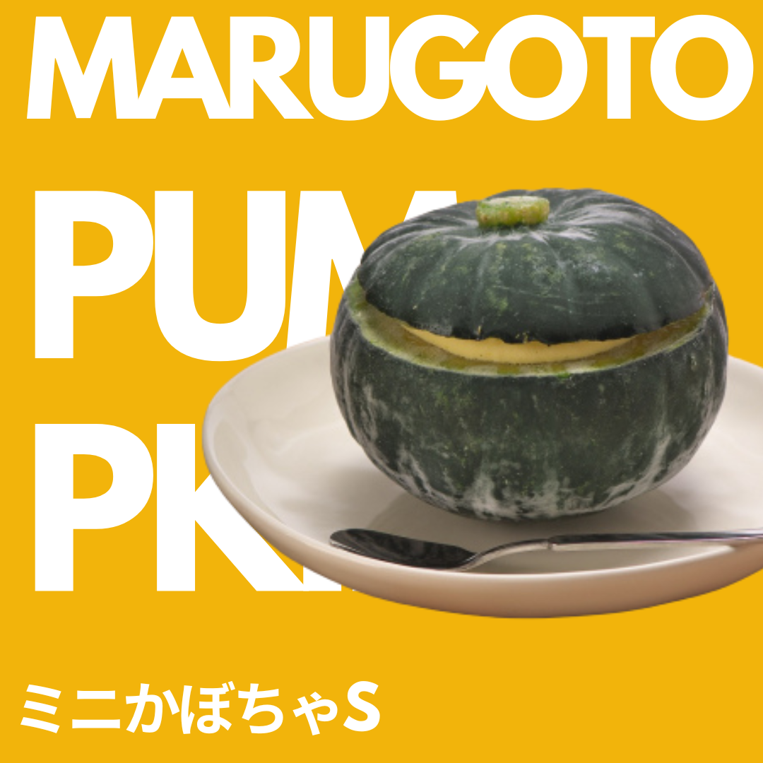 まるごとミニかぼちゃS