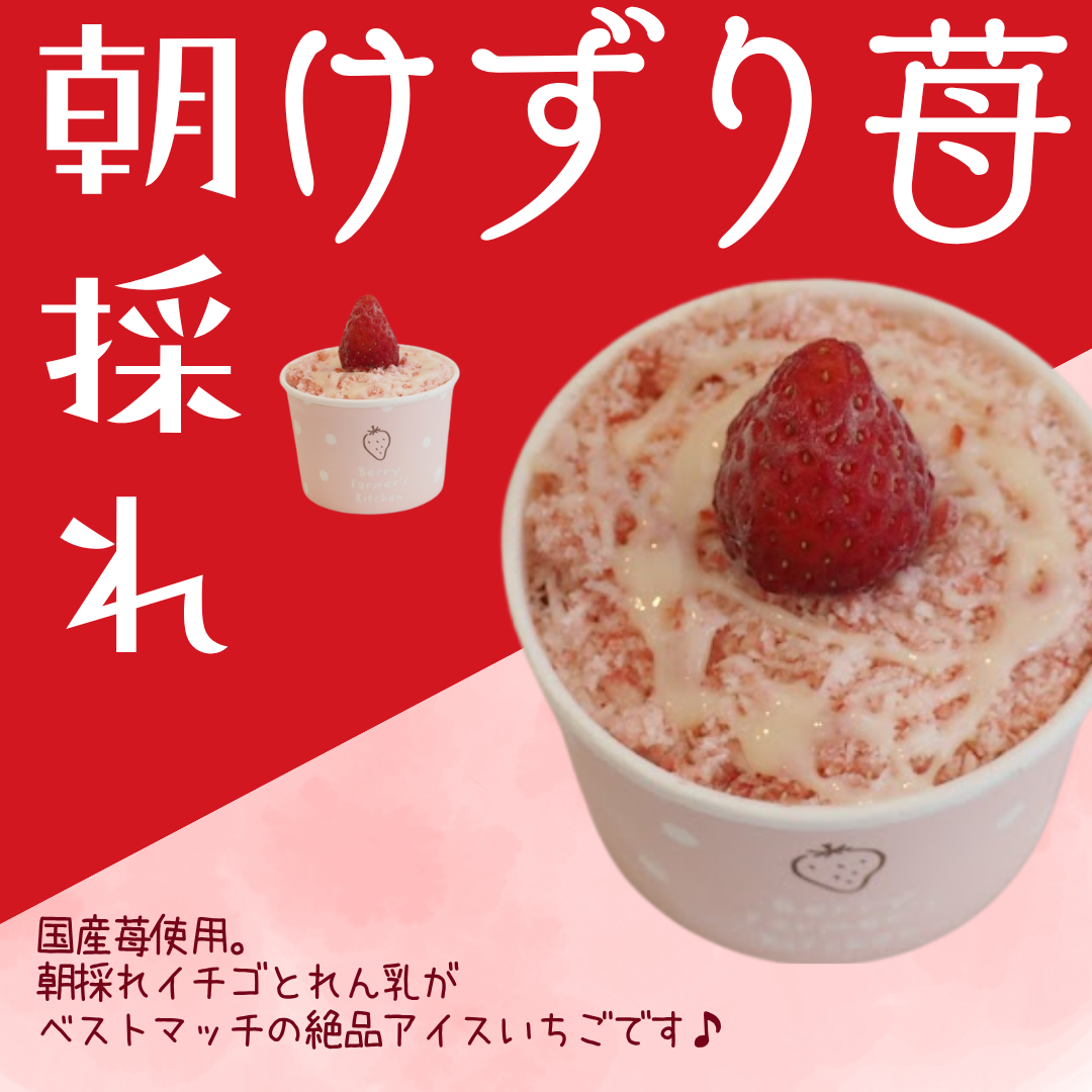 「朝採れ」削りいちごMini【自家農園のとれたて国産イチゴ使用】