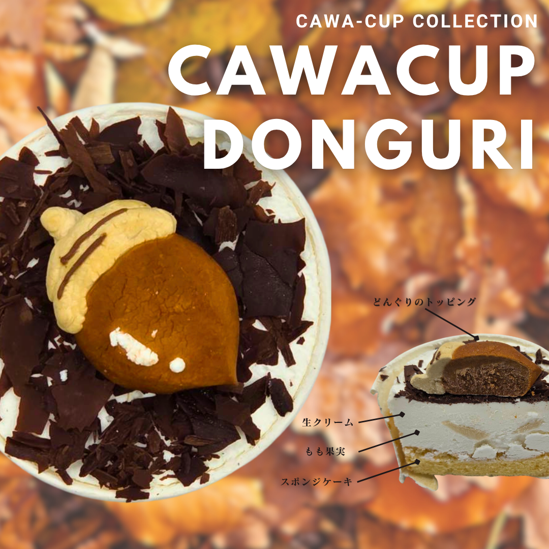 CAWACUP－カワカプ－どんぐり