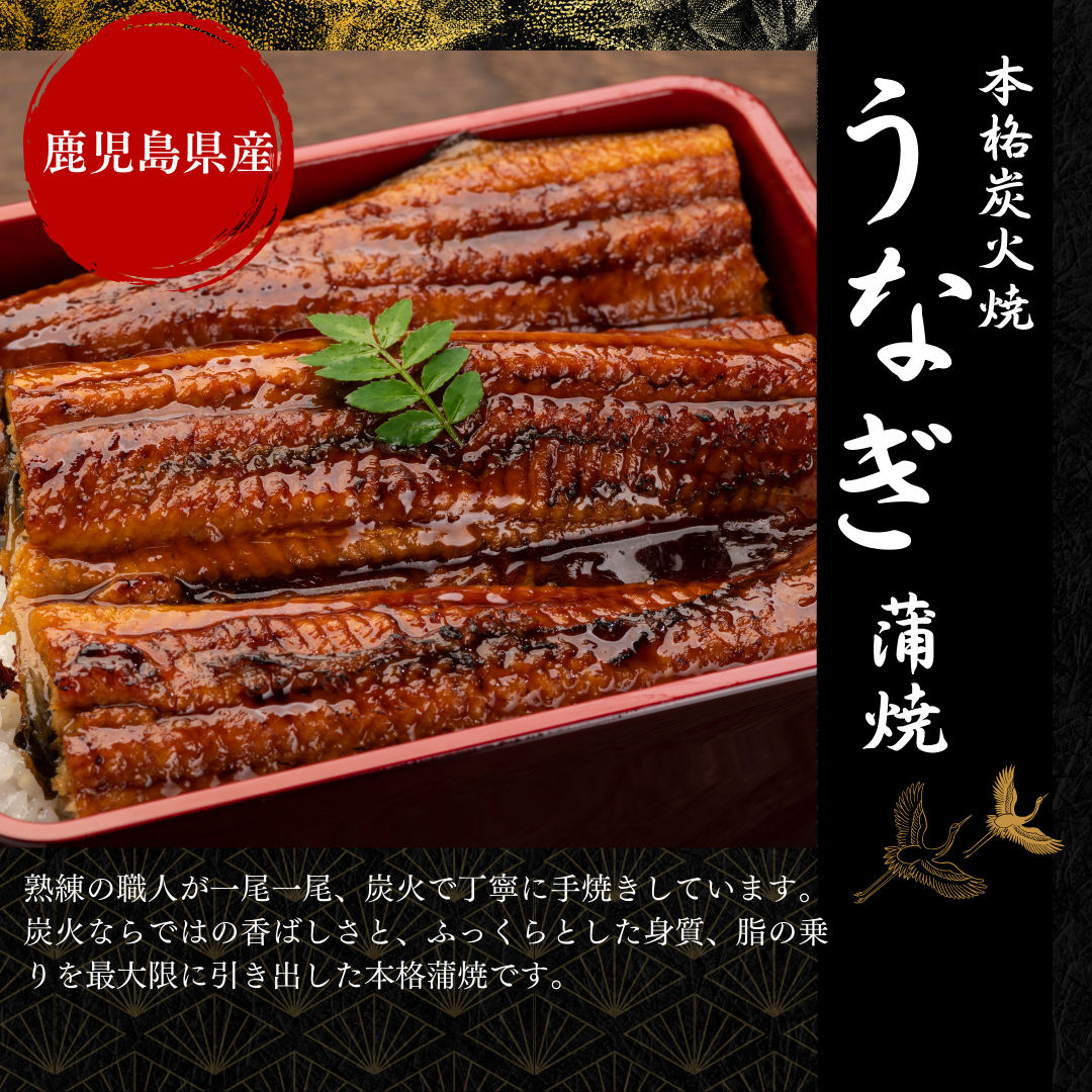 うなぎ蒲焼