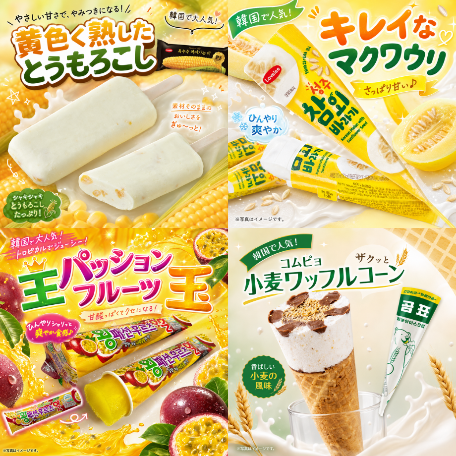 【送料無料】韓国アイスシリーズ　≪在庫無くなり次第販売終了≫