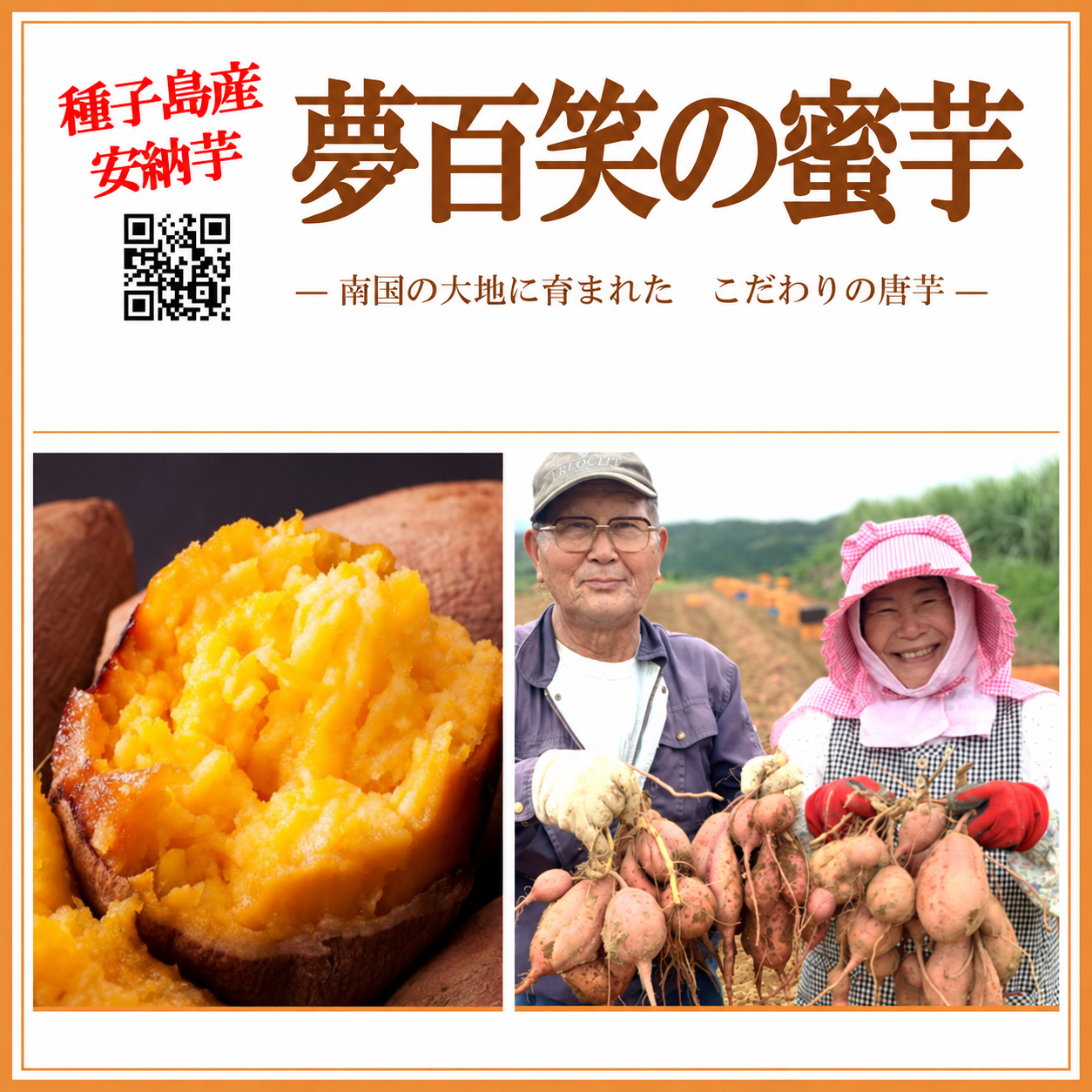 【常温商品】夢百笑の蜜芋（種子島産さつまいも）