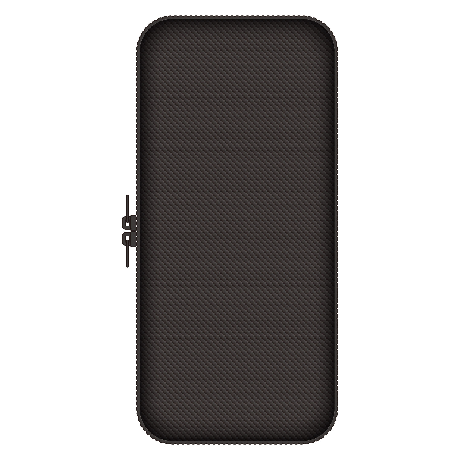 Switch2用カーボン調EVAポーチ ブラック/ブラック