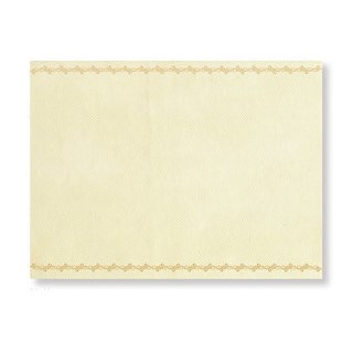 不織布ランチョンマット（柄入り）　2,000枚