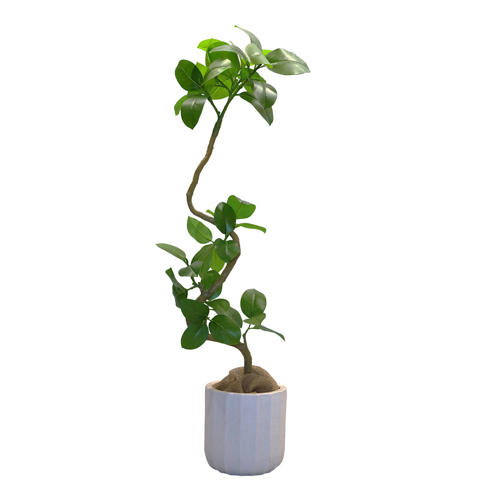 ツイストアルテシマポットＭ【鉢付き】　１本