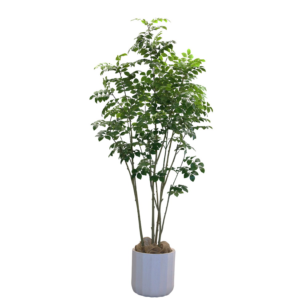 トネリコポットL【鉢付き】　１本