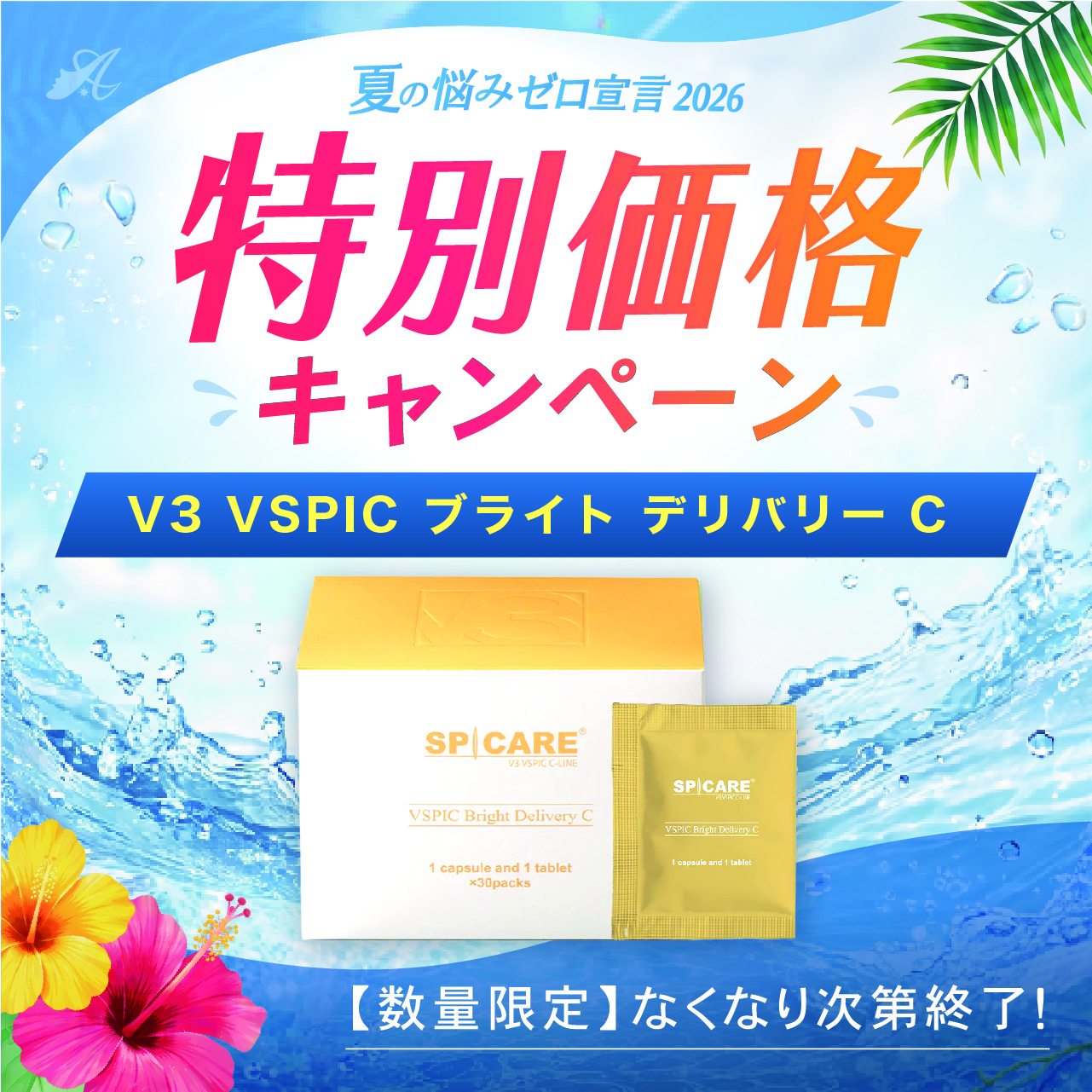 【サマーキャンペーン２０２６】Ｖ３　ＶＳＰＩＣ　ブライト デリバリー C
