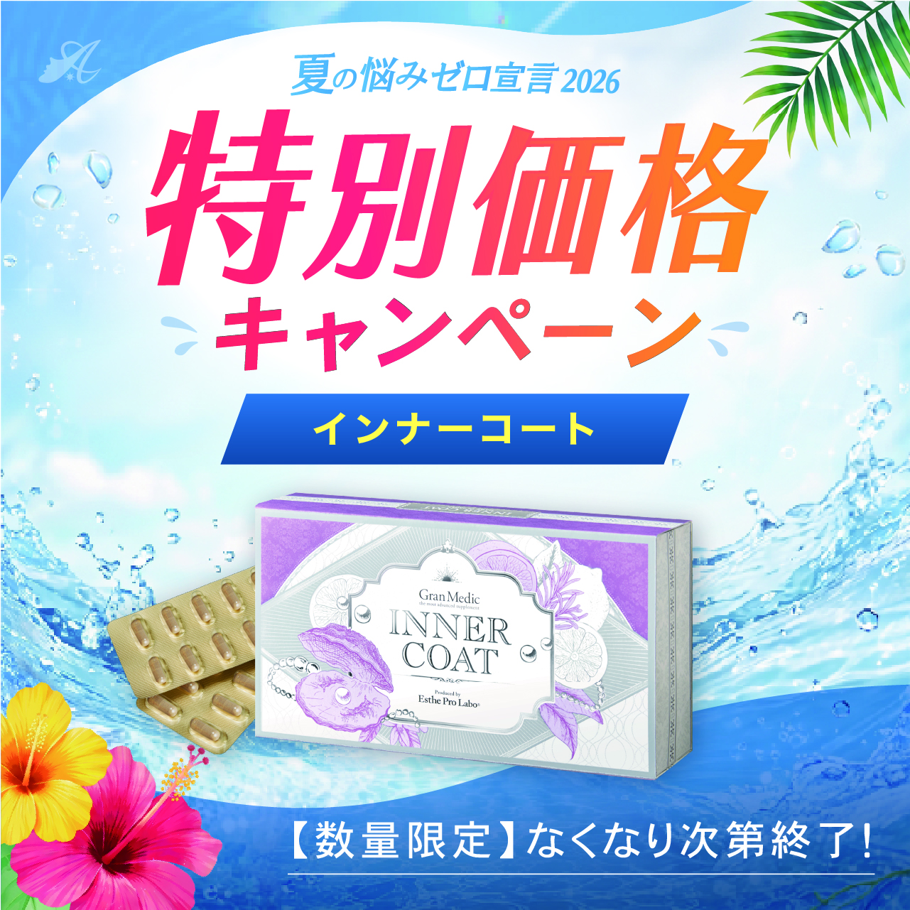 【サマーキャンペーン２０２６】インナーコート