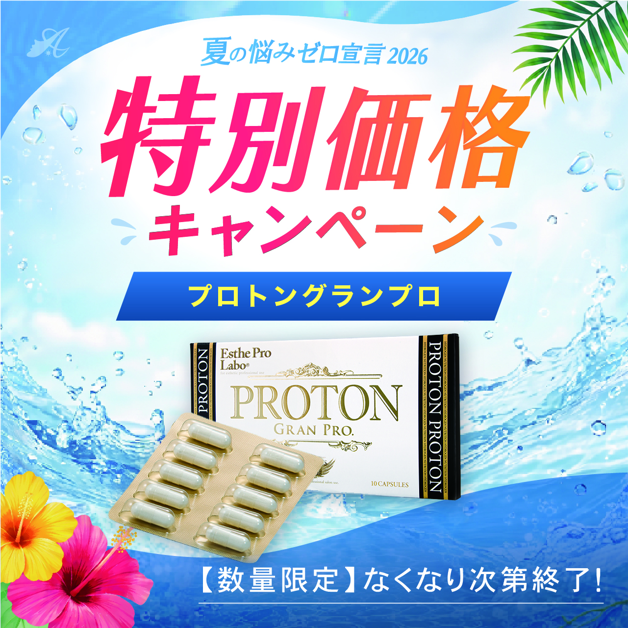 【サマーキャンペーン２０２６】プロトングランプロ