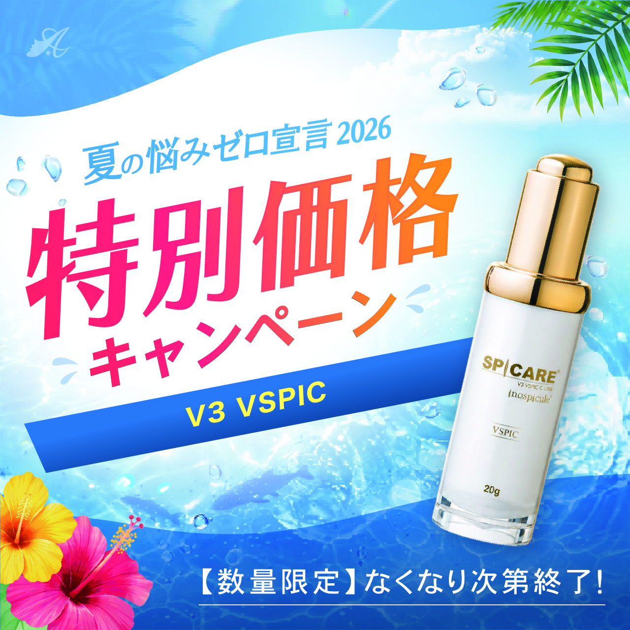 【サマーキャンペーン２０２６】ＳＰＩＣＡＲＥ　Ｖ３　ＶＳＰＩＣ（ブイスピック）