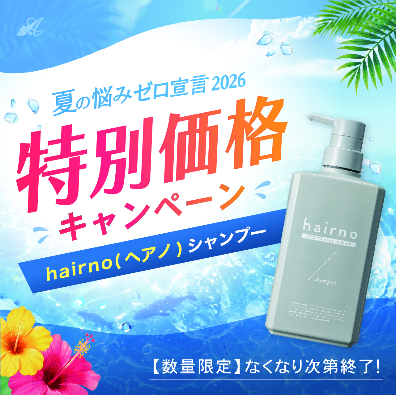 【サマーキャンペーン２０２６】ｈａｉｒｎｏ （ヘアノ）　シャンプー