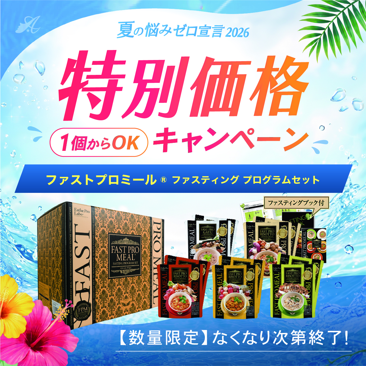 【サマーキャンペーン２０２６】ファストプロミール® ファスティング プログラムセット