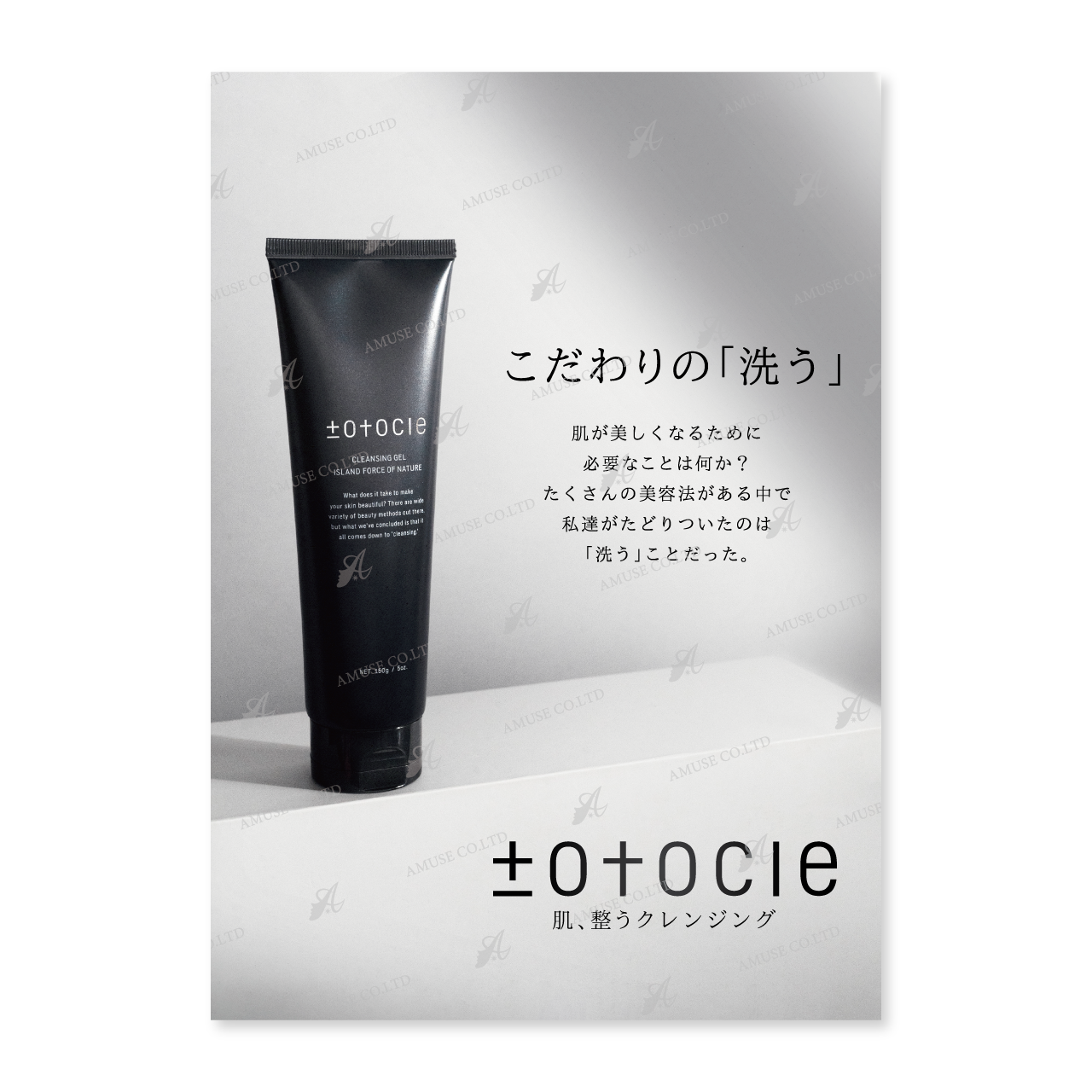 ｔｏｔｏｃｌe (トトクレ)　チラシ