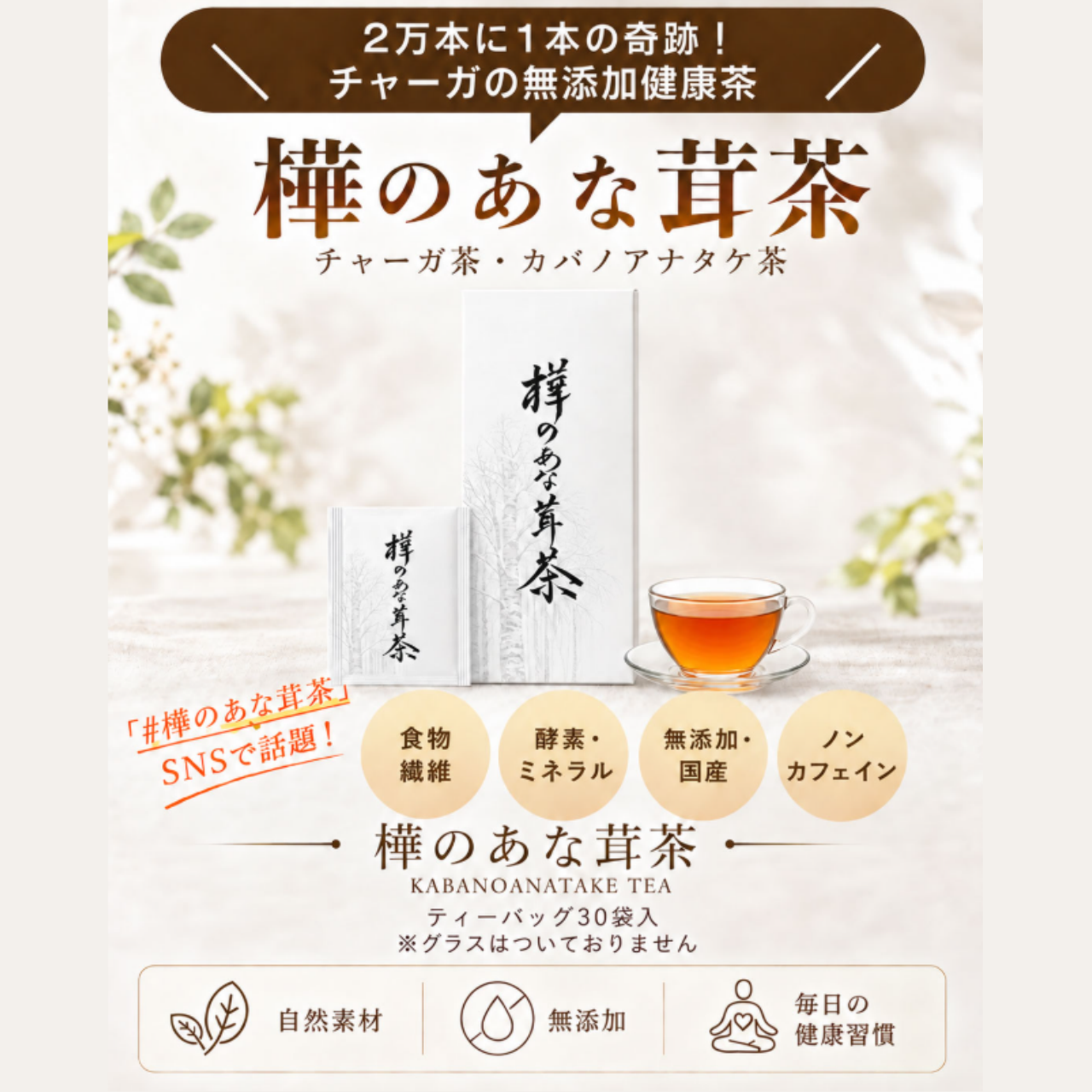 樺のあな茸茶（カバノアナタケ）