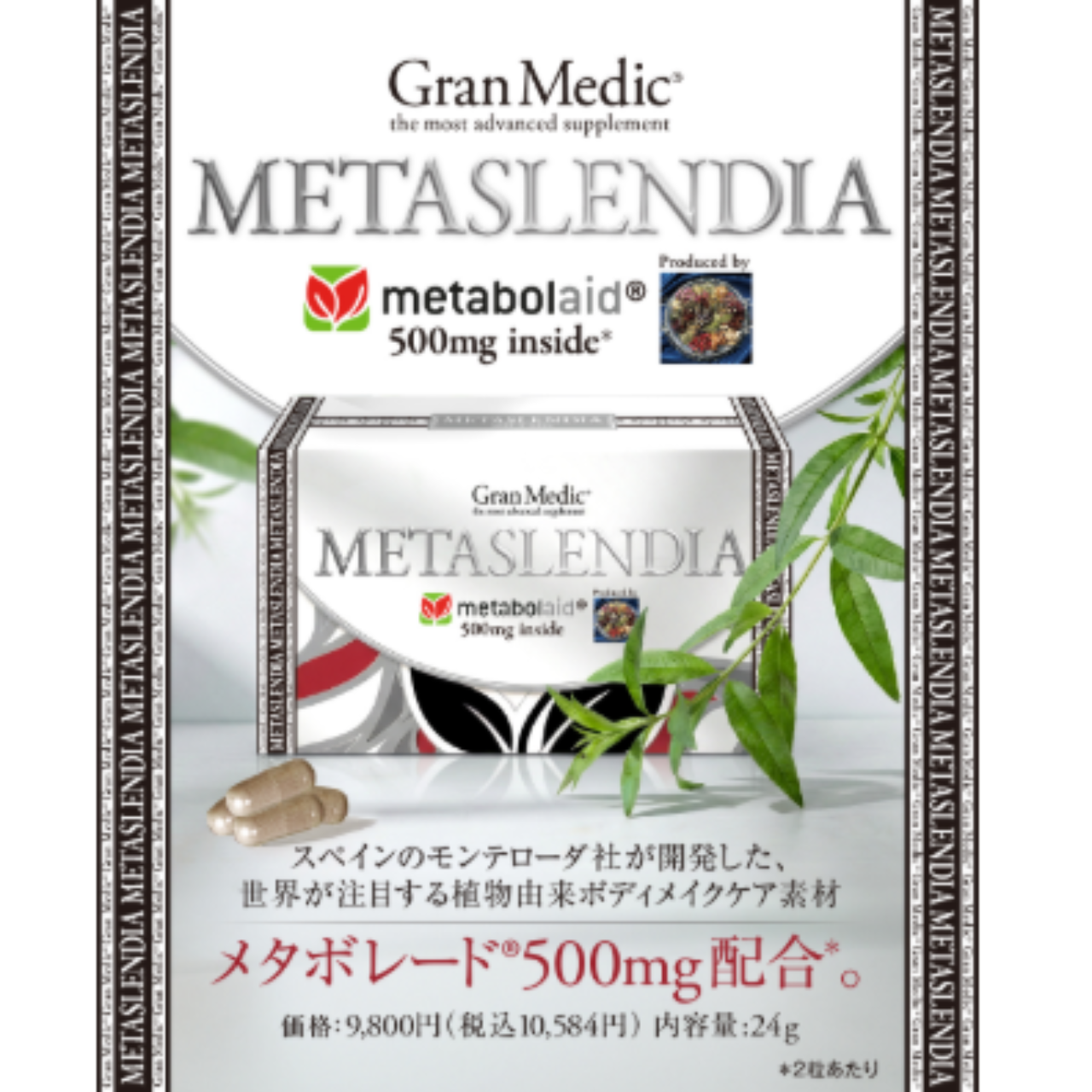 メタスレンディア