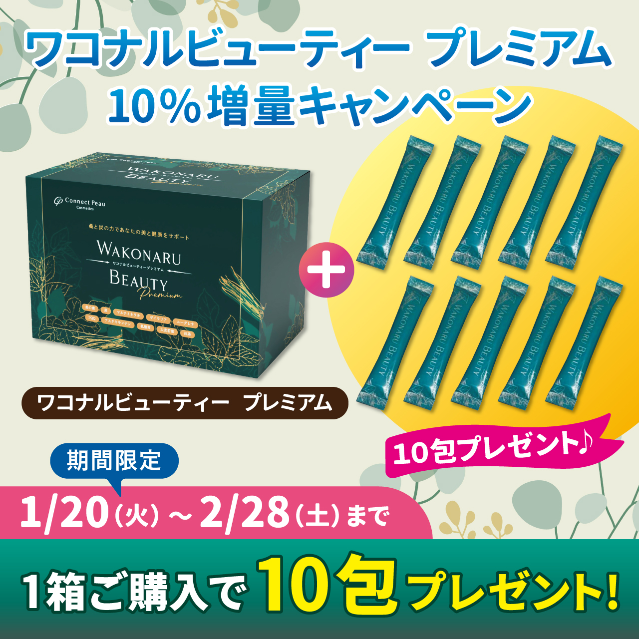 WAKONARU BEAUTY  Premium