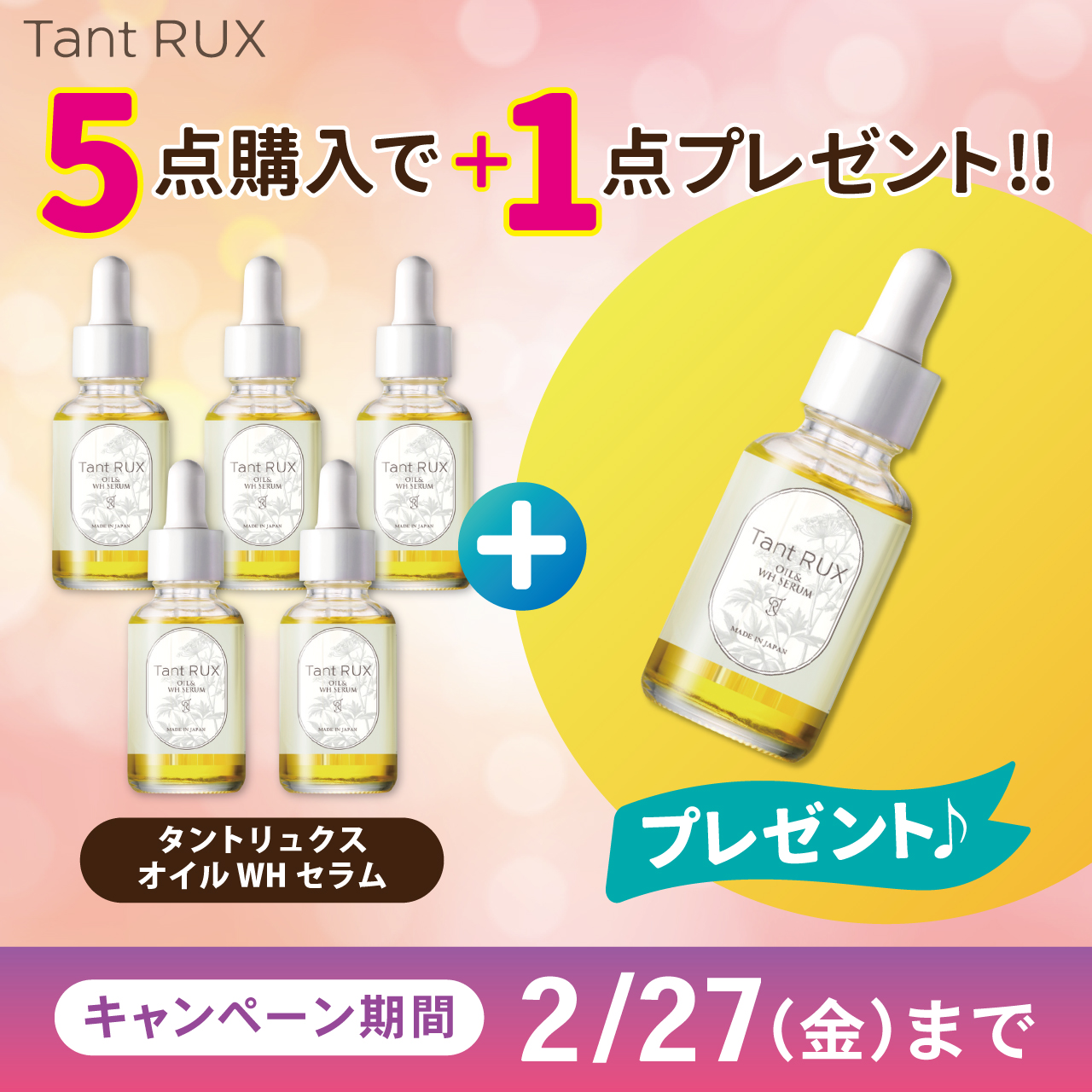 Ｔａｎｔ ＲＵＸ（タントリュクス） キャンペーン