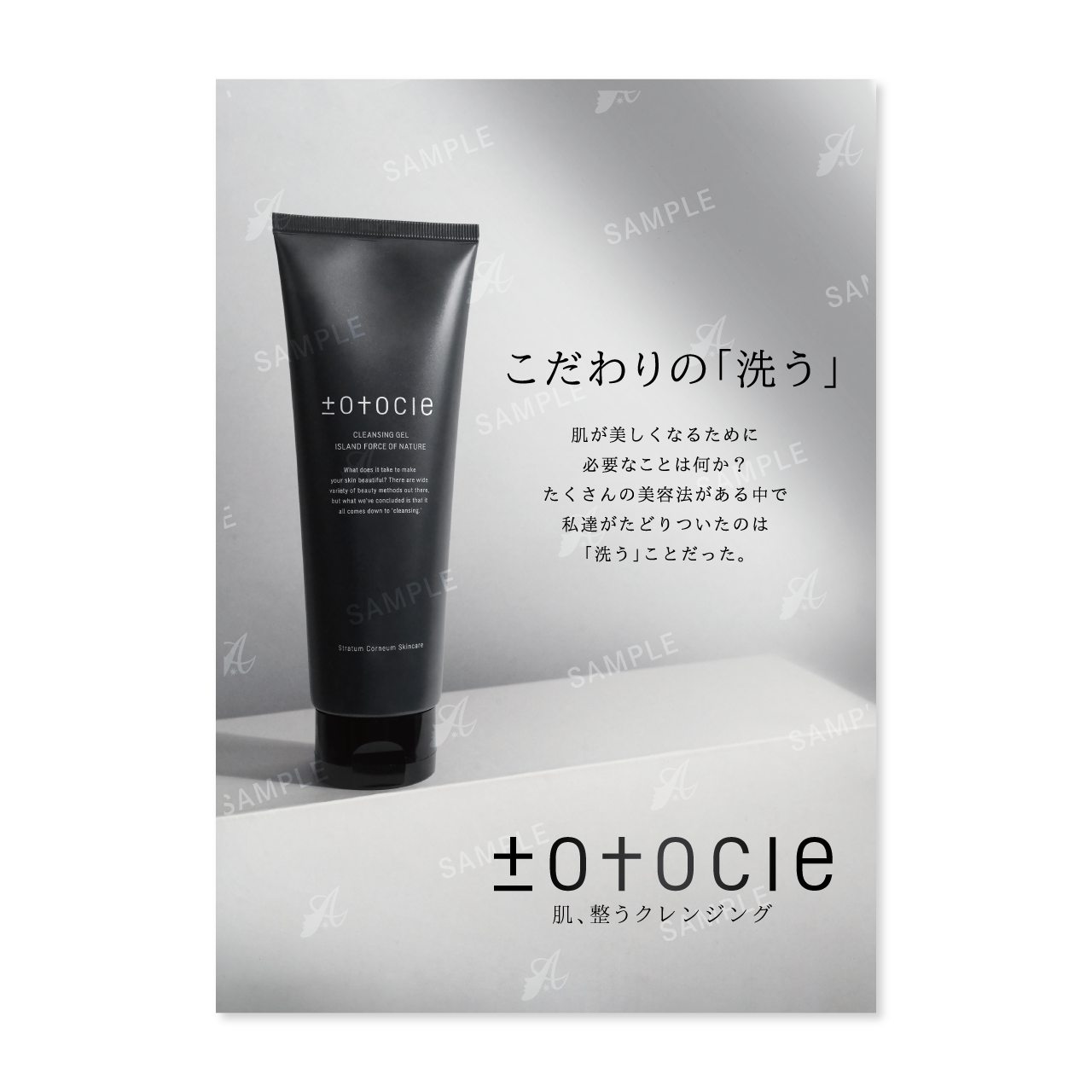 ｔｏｔｏｃｌｅ (トトクレ)　チラシ