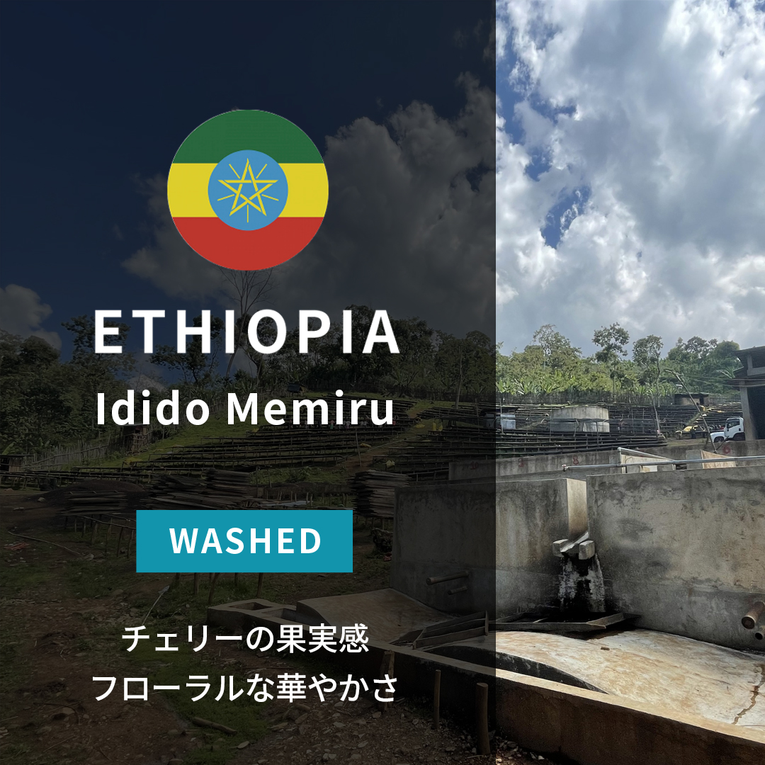 Ethiopia Idido Memiru Washed(24/25年クロップ)