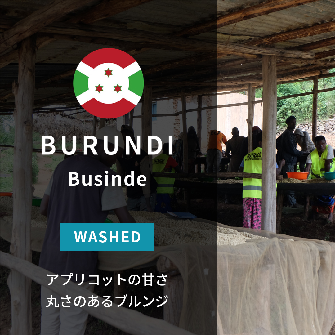 Burundi Businde Washed(24/25年クロップ)