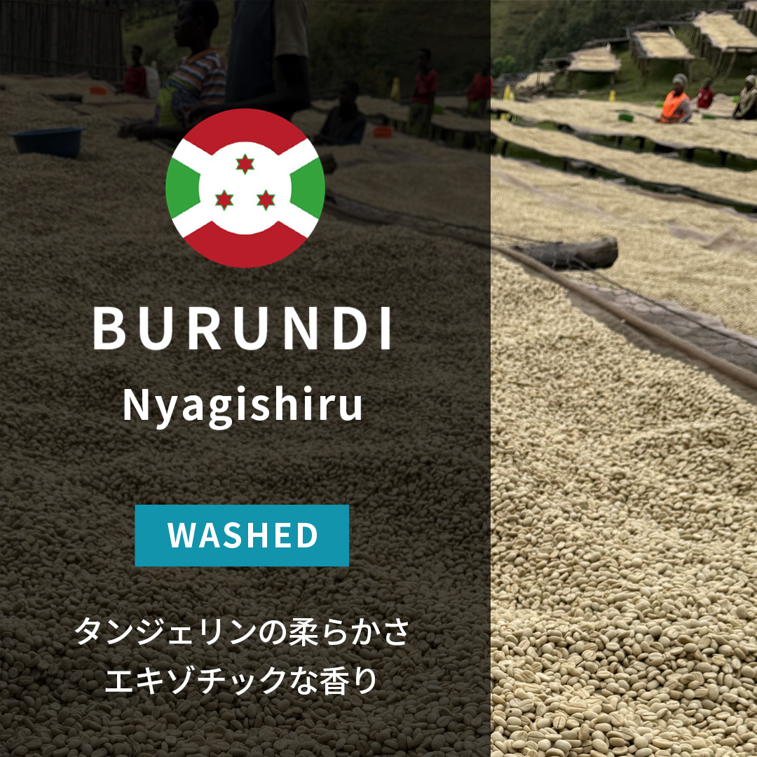 Burundi Nyagishiru Washed(24/25年クロップ)