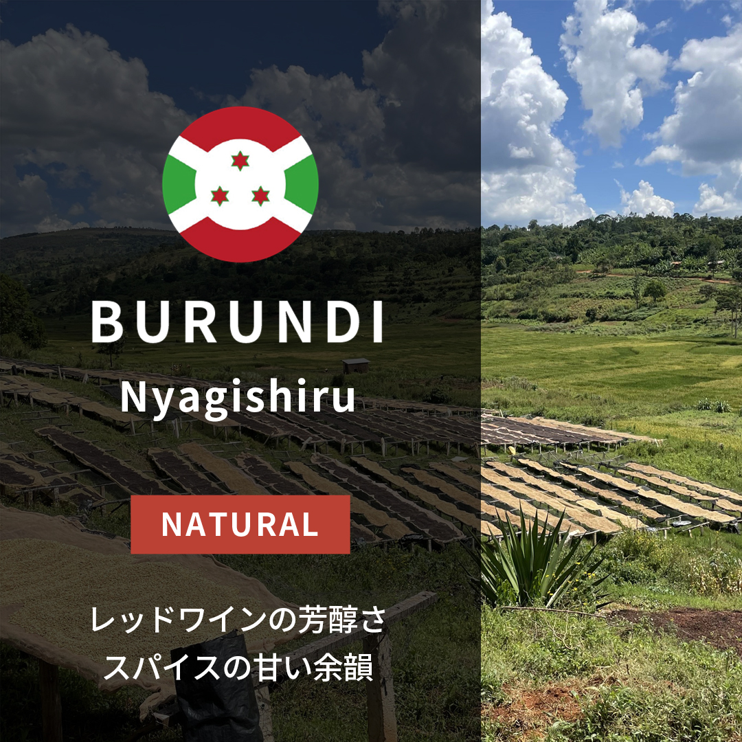 Burundi Nyagishiru Natural(24/25年クロップ)